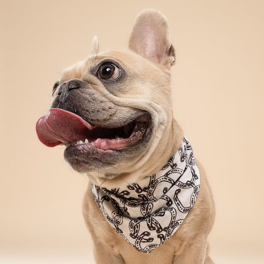 BANDANA - Fer à cheval porte bonheur