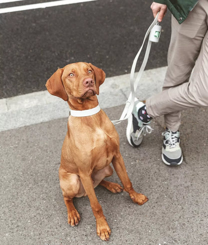 COLLIER GALA - Beige