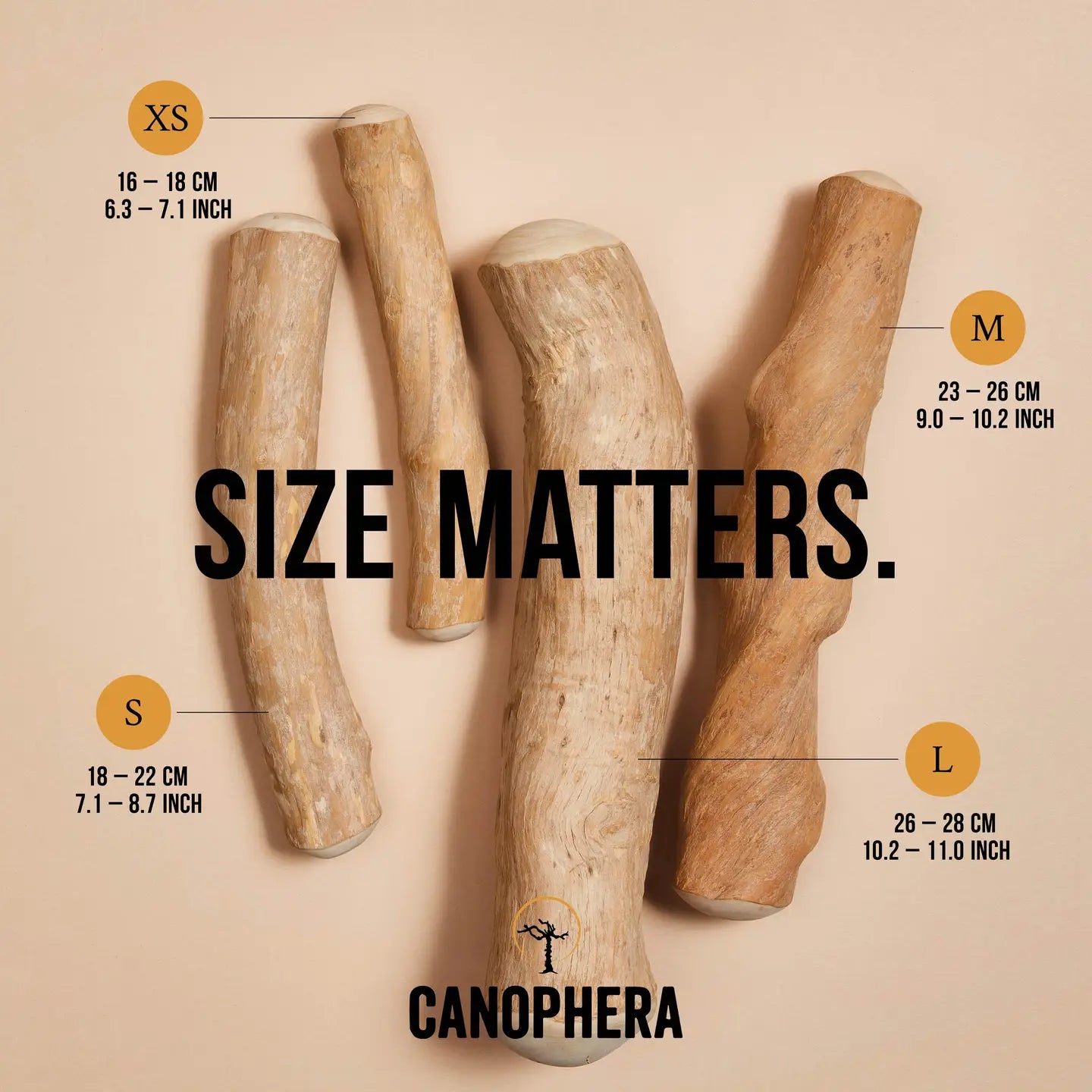 MASTICATION NATURELLE - Bois de café