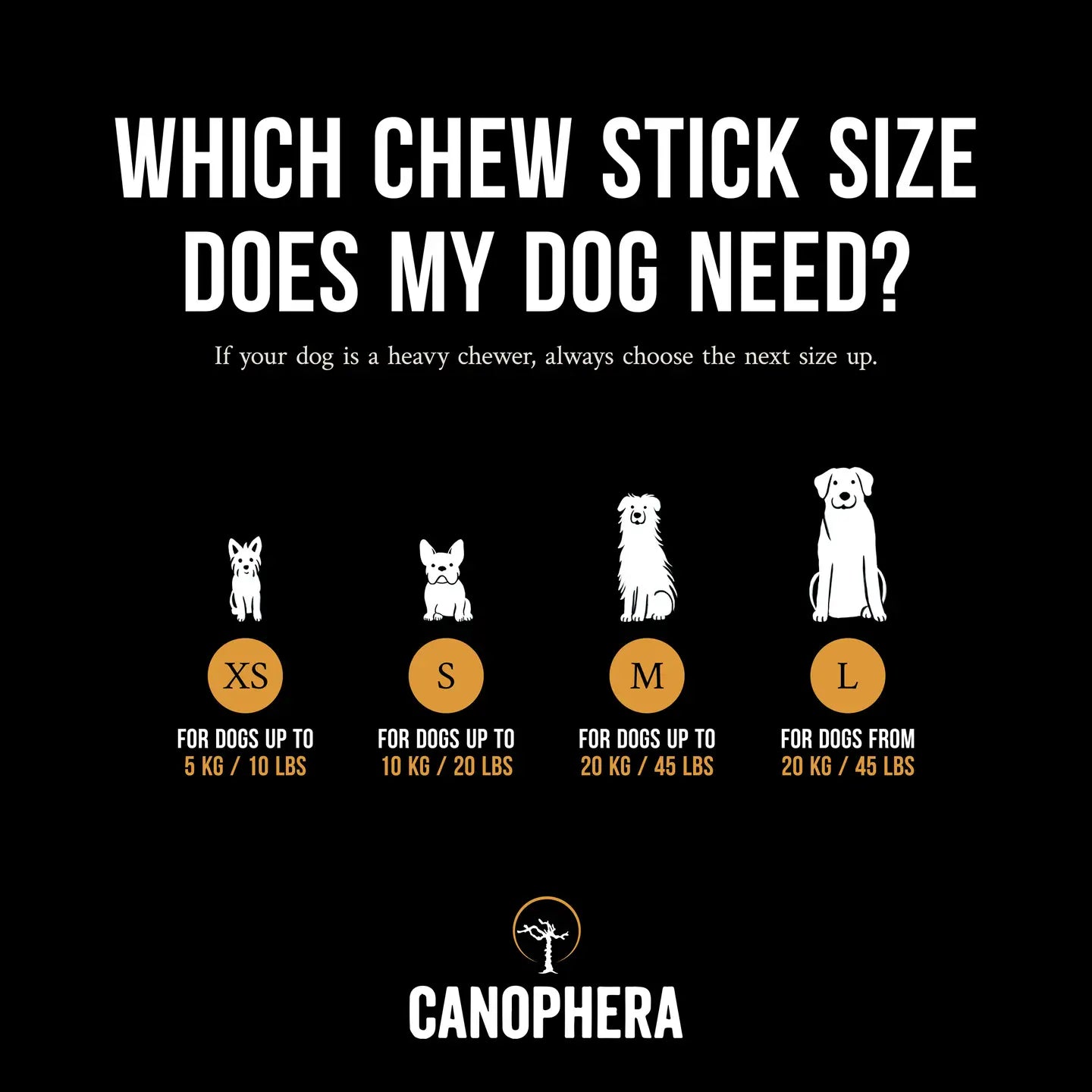 MASTICATION NATURELLE - Bois de café