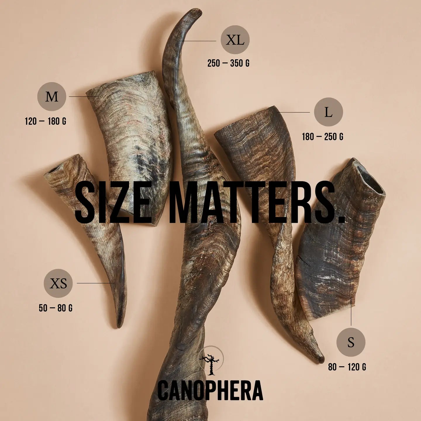 MASTICATION NATURELLE - Corne de berger