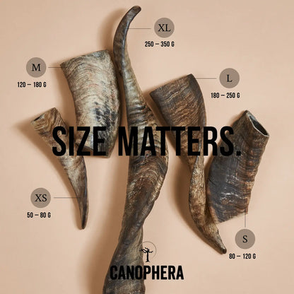 MASTICATION NATURELLE - Corne de berger