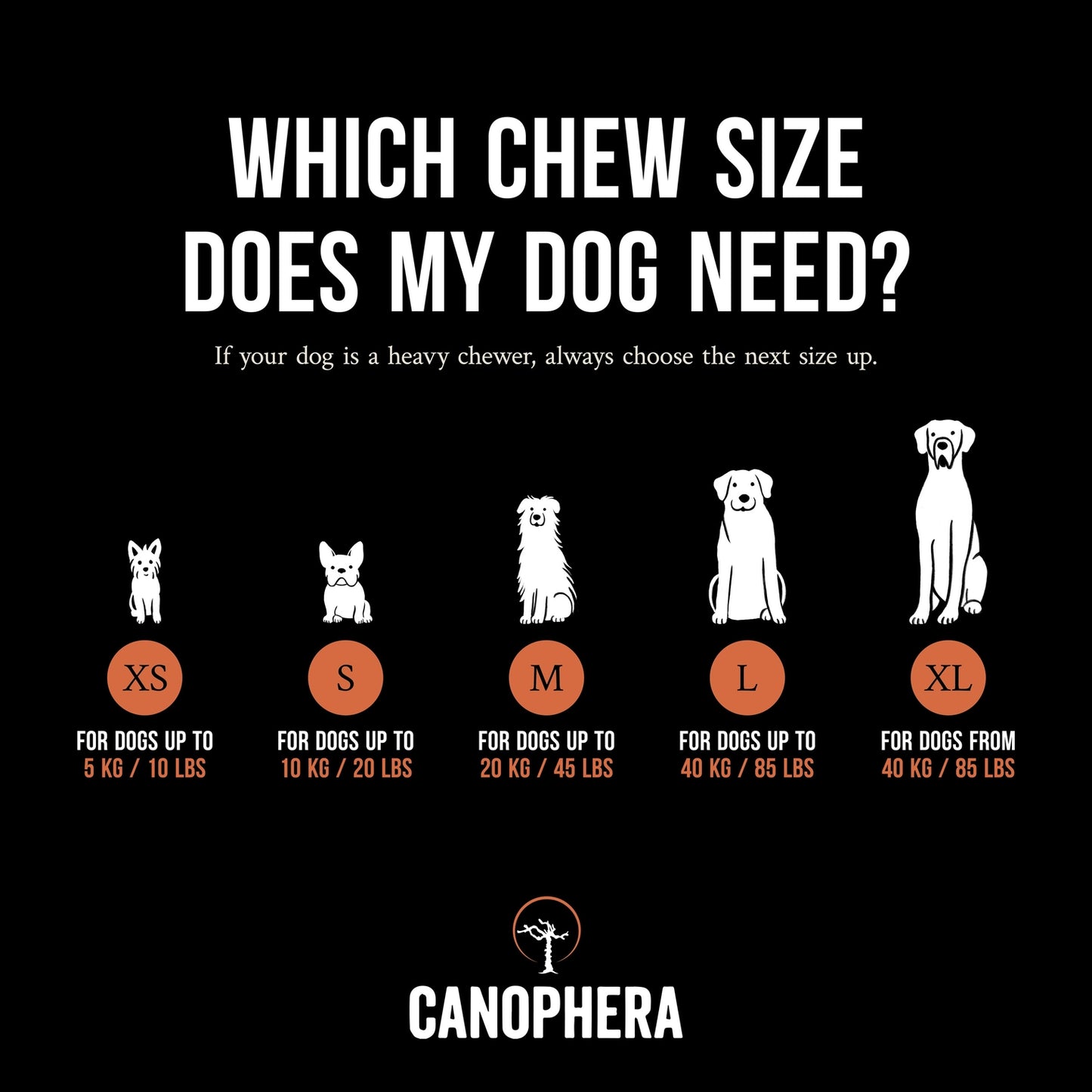 MASTICATION NATURELLE - Racine de bruyère