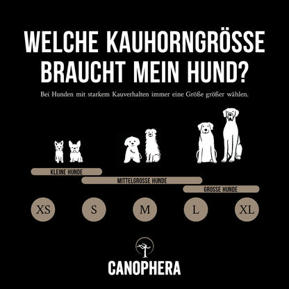 MASTICATION NATURELLE - Corne de berger