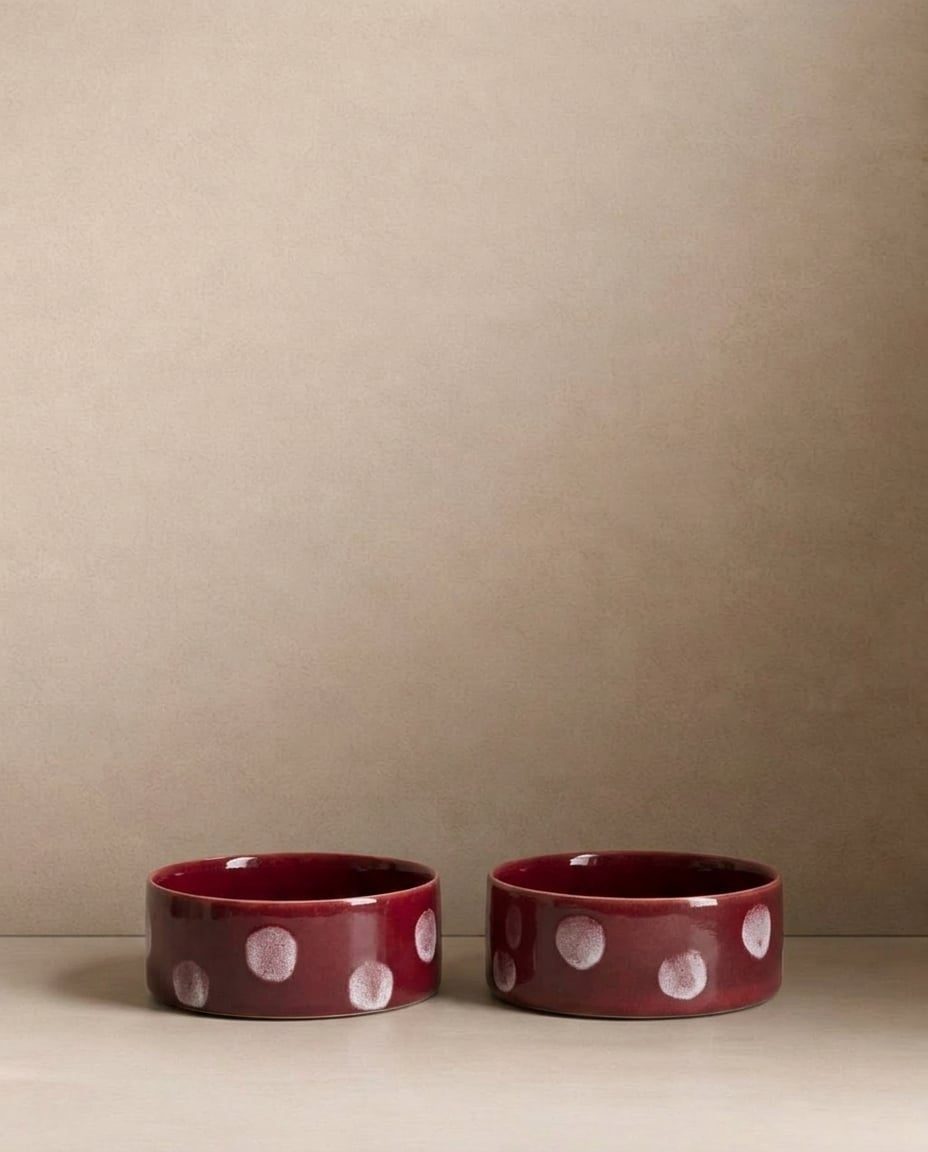LOT DE 2 GAMELLES EN CÉRAMIQUE - Pops dot