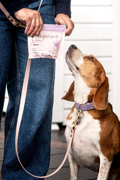 BOUCHÉES SANTÉ POUR CHIENS - Beauté peau & poils