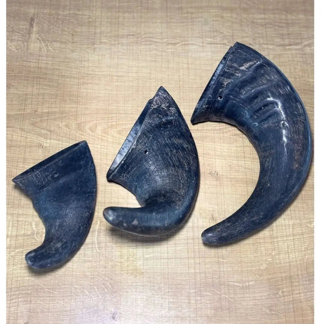 MASTICATION NATURELLE - Corne de Buffle