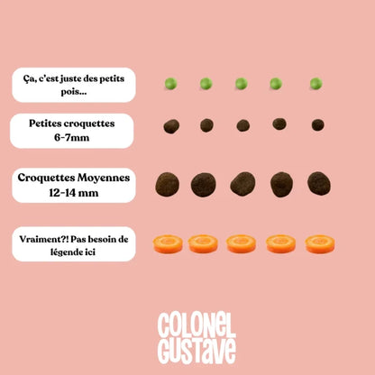 CROQUETTES CHIOT - Poulet frais, Potiron & Ortie ( 2,5kg )