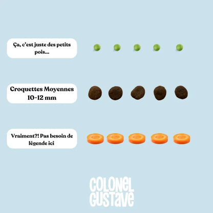 CROQUETTES LIGHT - Porc/Poulet ( 6KG )