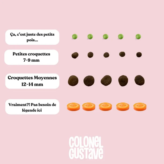 CROQUETTES MOYENS/GRANDS - Porc & Poulet ( 6KG )