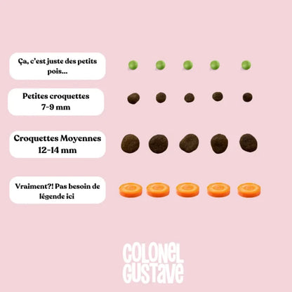 CROQUETTES MOYENS/GRANDS - Porc & Poulet ( 6KG )