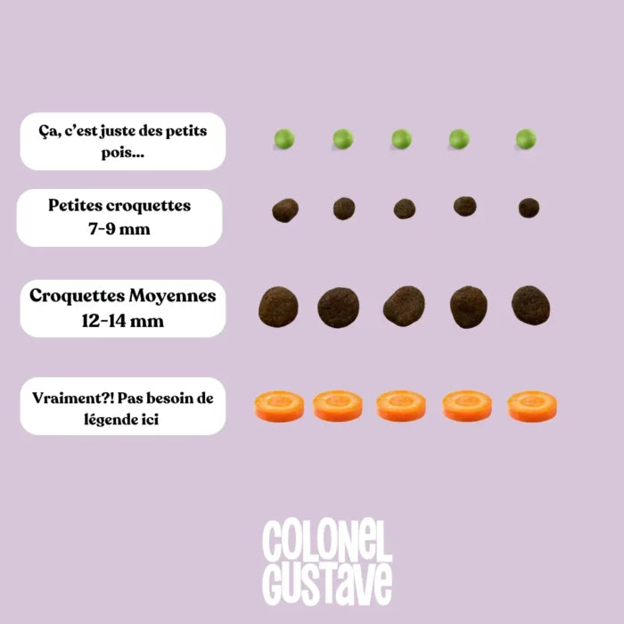 CROQUETTES PETIT CHIENS - Porc & Poulet ( 2,5KG )