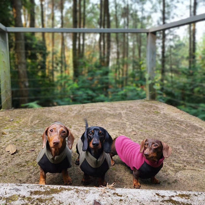 POLAIRE SPÉCIAL TECKEL - Olive panneau ventral imperméable