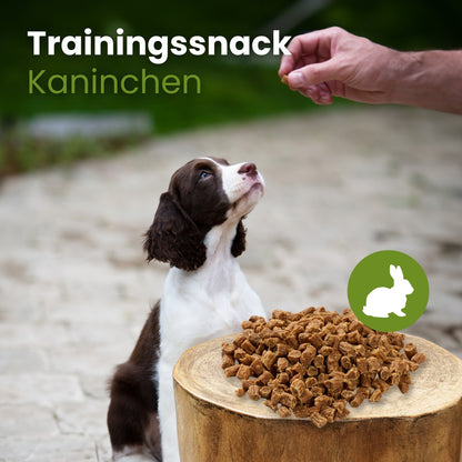 FRIANDISES 100g - Lapin