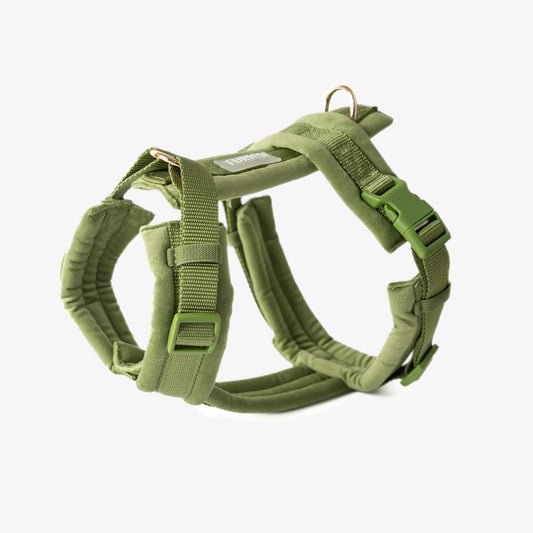 HARNAIS EN VELOURS - Vert
