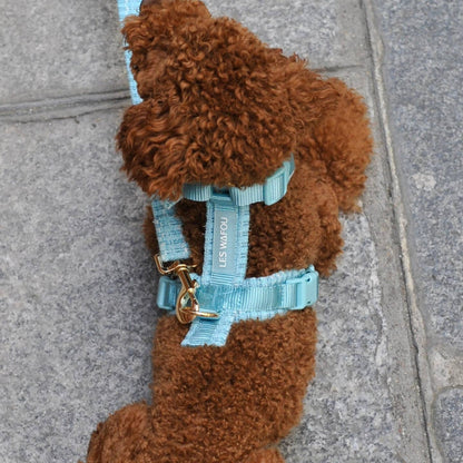 HARNAIS EN TWEED - Bleu ciel