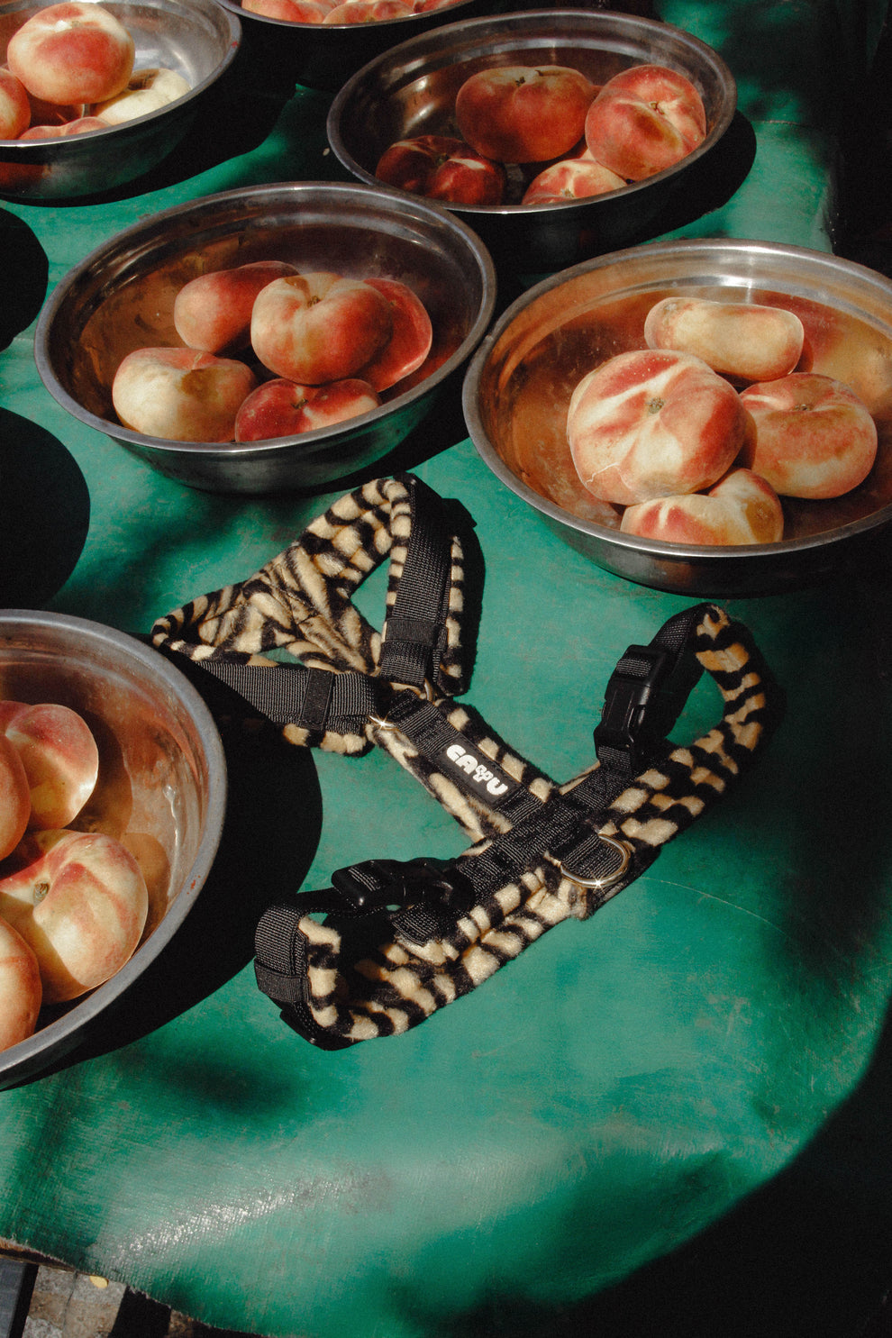 HARNAIS POUR CHIEN - Wild