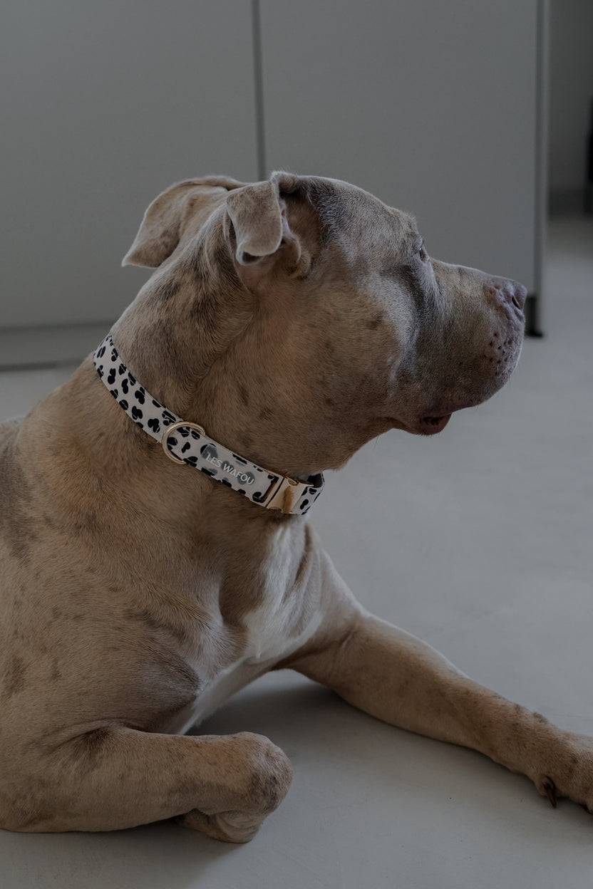 COLLIER - Motif vache