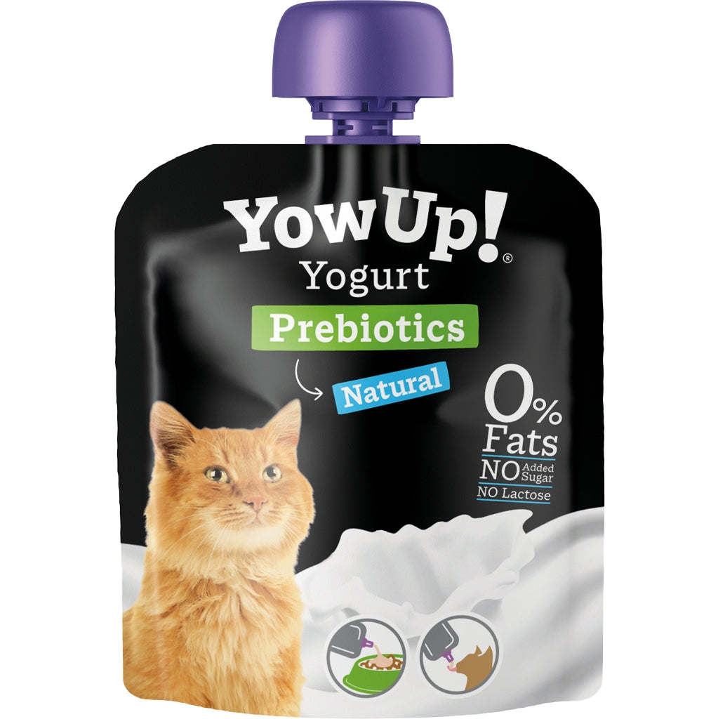 YAOURT SANS LACTOSE - Chat