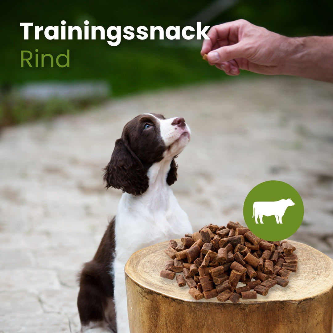 FRIANDISES 100g - Boeuf