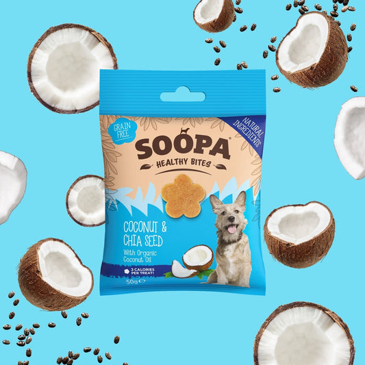 FRIANDISES - Noix de coco & Graine de chía
