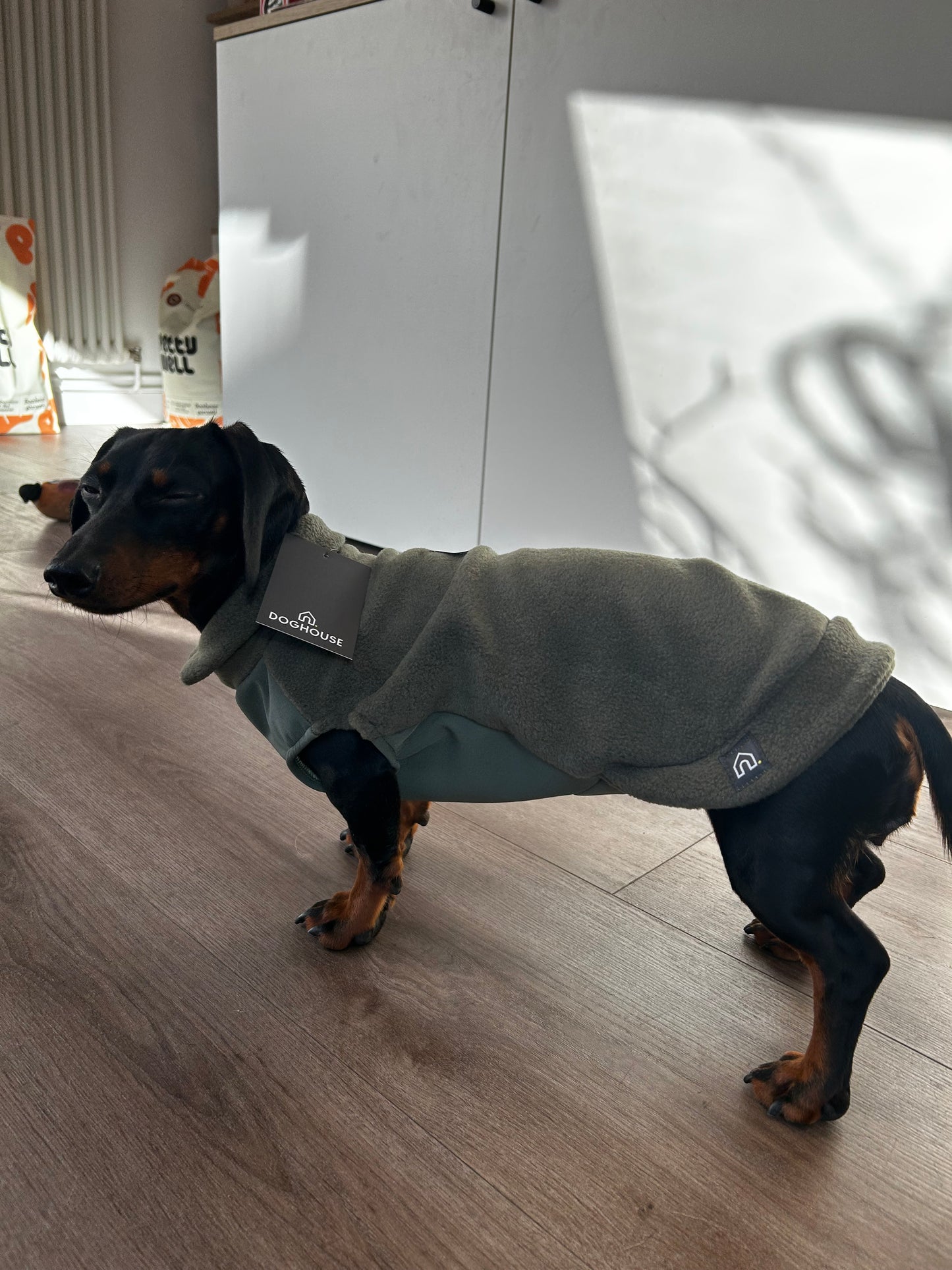 POLAIRE SPÉCIAL TECKEL - Olive panneau ventral imperméable