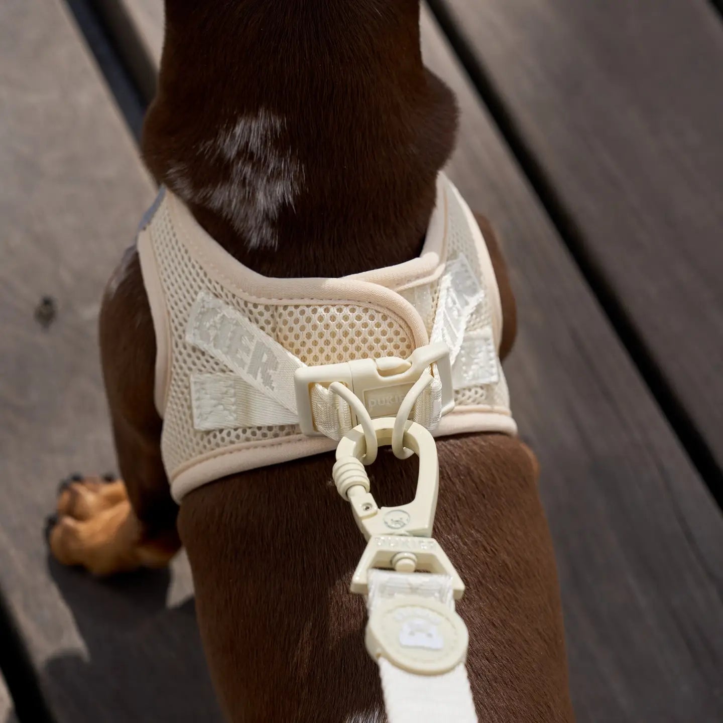 HARNAIS BODY - Beige