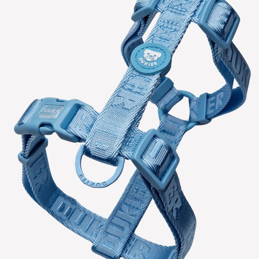 HARNAIS CLASSIQUE - Bleu