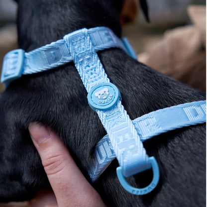 HARNAIS CLASSIQUE - Bleu