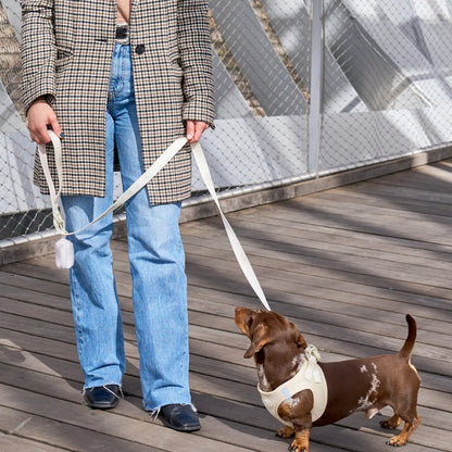 LAISSE POUR CHIEN - Beige