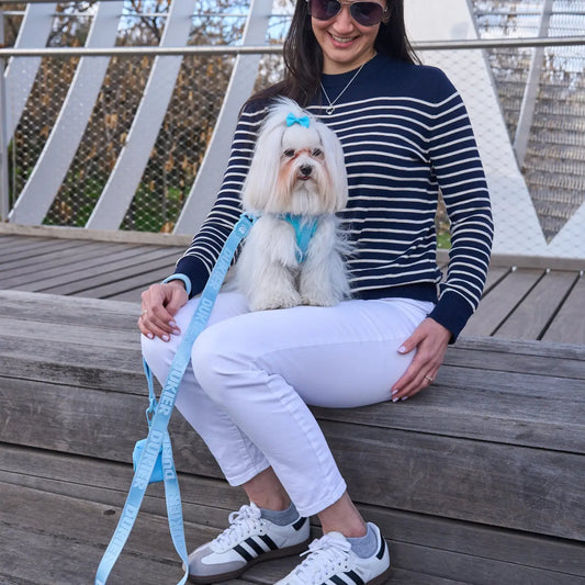 LAISSE POUR CHIEN - Bleu