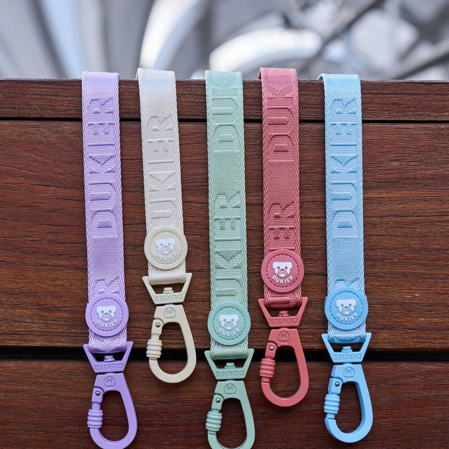 LAISSE POUR CHIEN - Violet