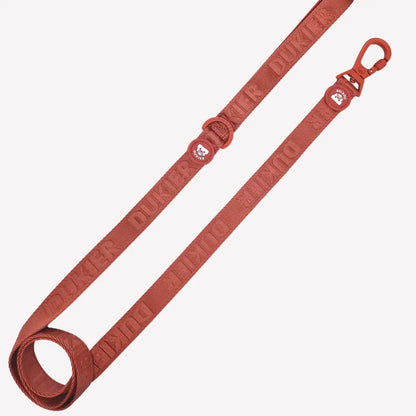 LAISSE POUR CHIEN - Terracotta