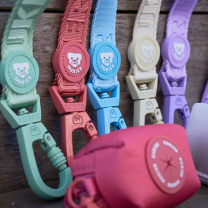 LAISSE POUR CHIEN - Terracotta