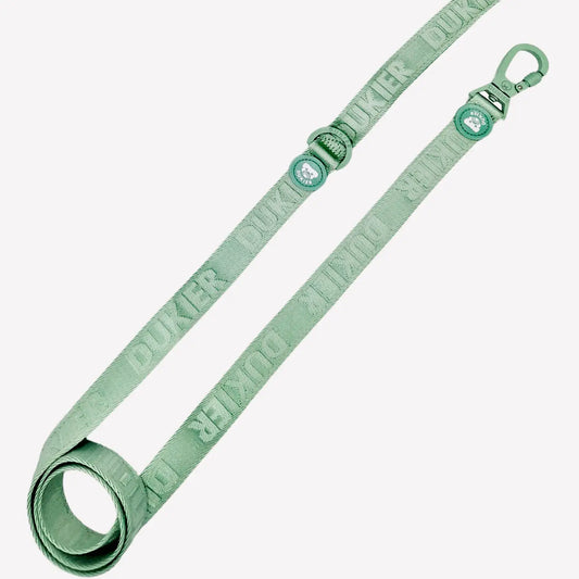 LAISSE POUR CHIEN - Vert d'eau