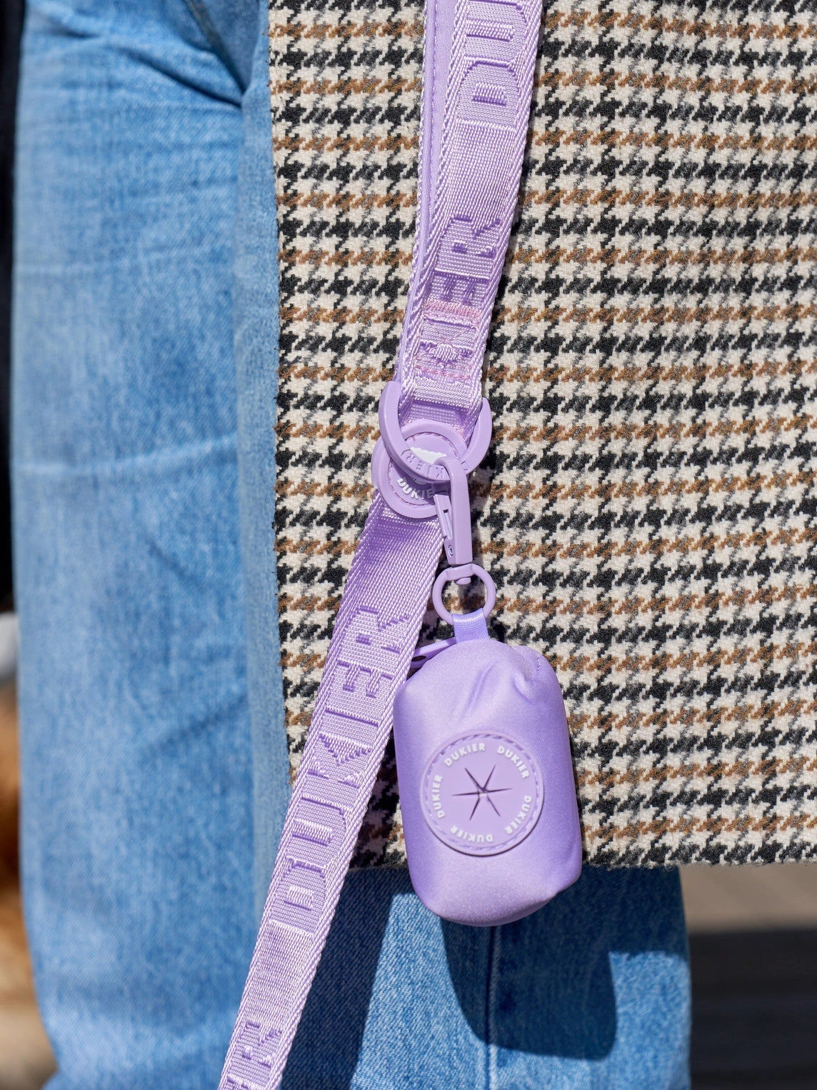 LAISSE POUR CHIEN - Violet