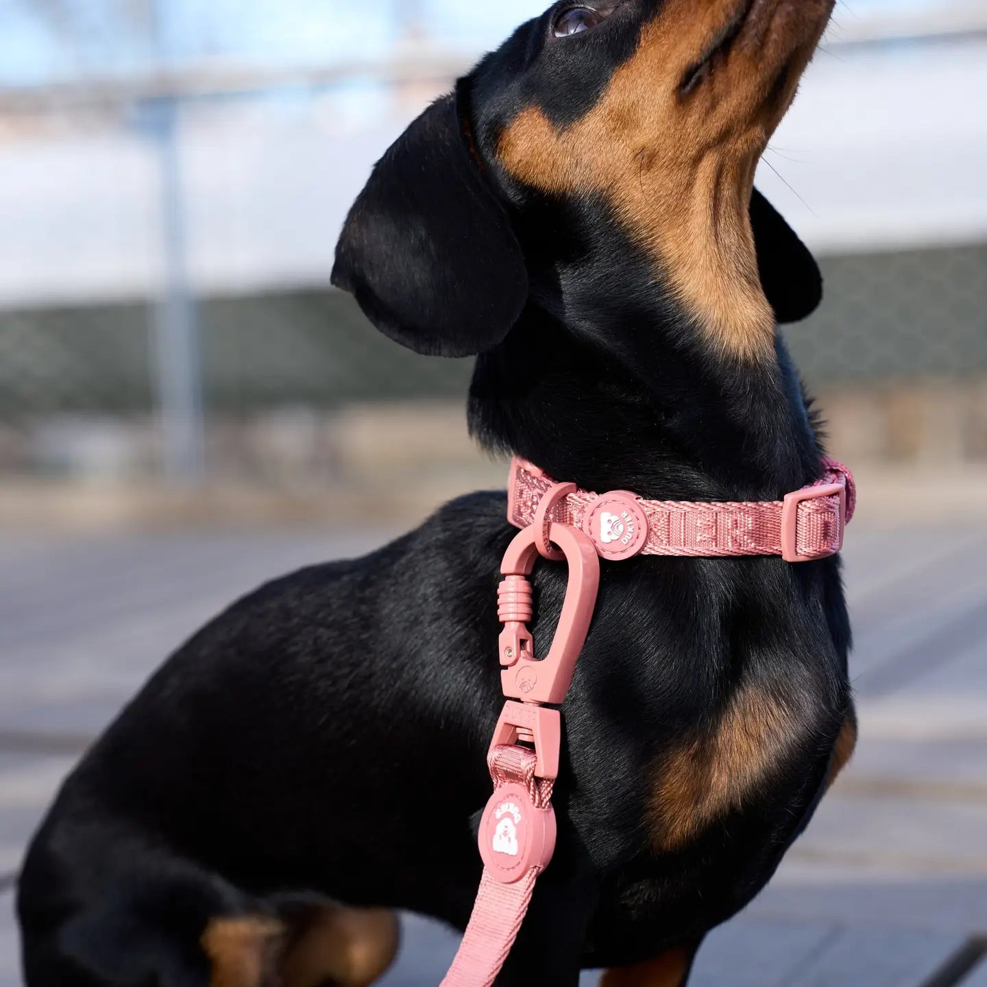 COLLIER SOFT - Terracotta