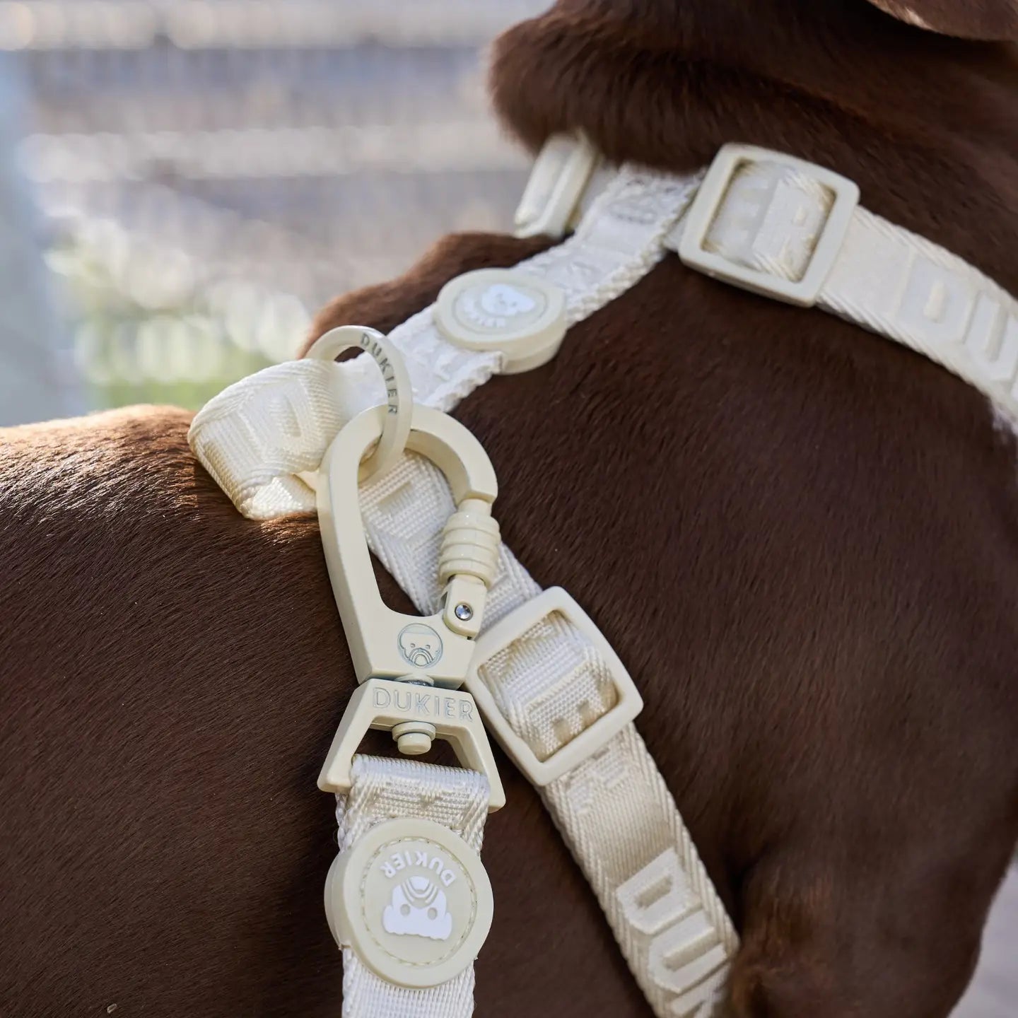 HARNAIS CLASSIQUE - Beige