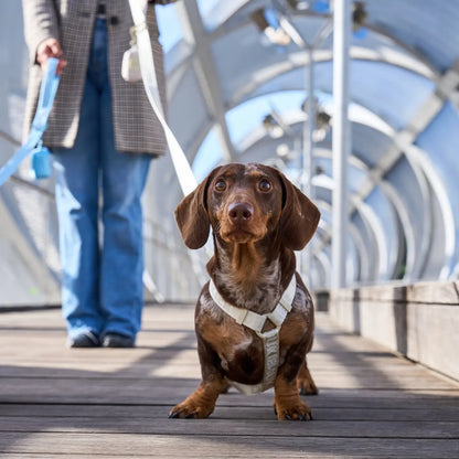 HARNAIS CLASSIQUE - Beige