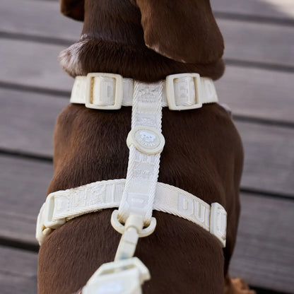 HARNAIS CLASSIQUE - Beige