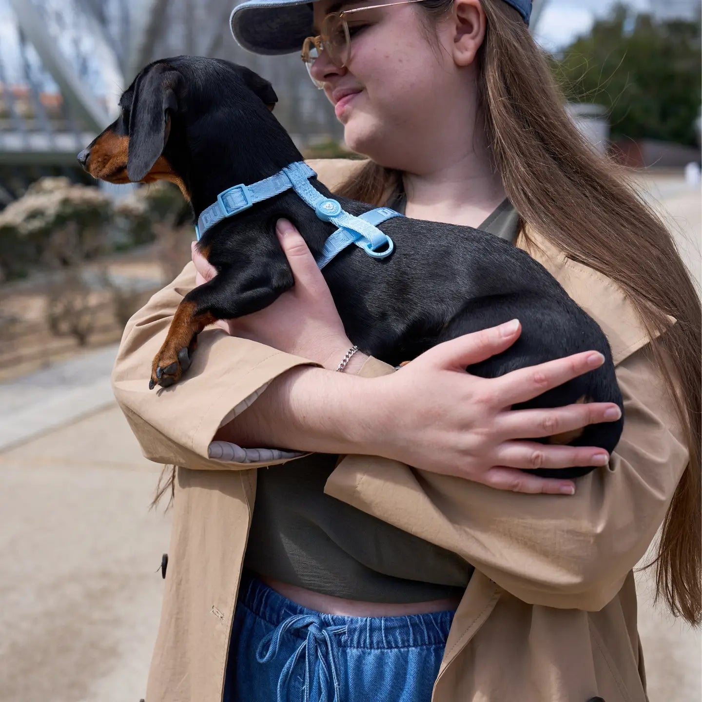 HARNAIS CLASSIQUE - Bleu