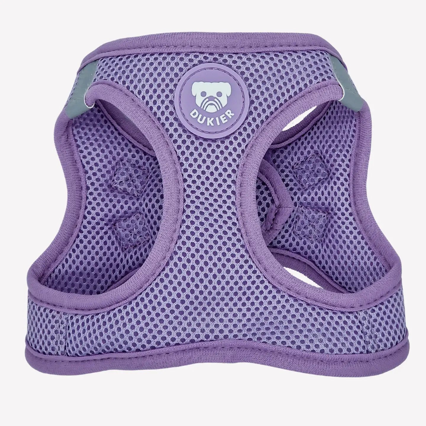 HARNAIS BODY - Violet