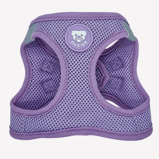 HARNAIS BODY - Violet