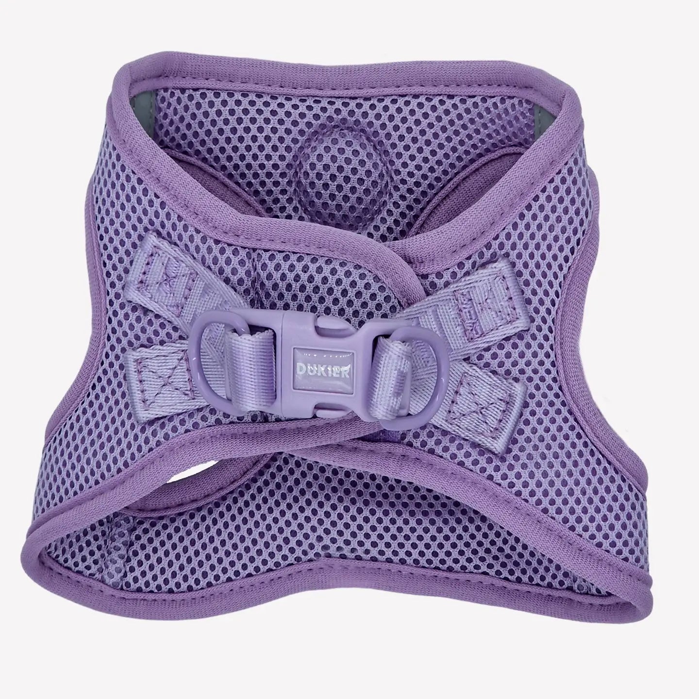 HARNAIS BODY - Violet