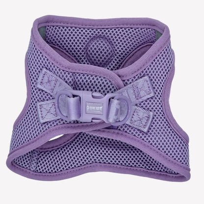 HARNAIS BODY - Violet