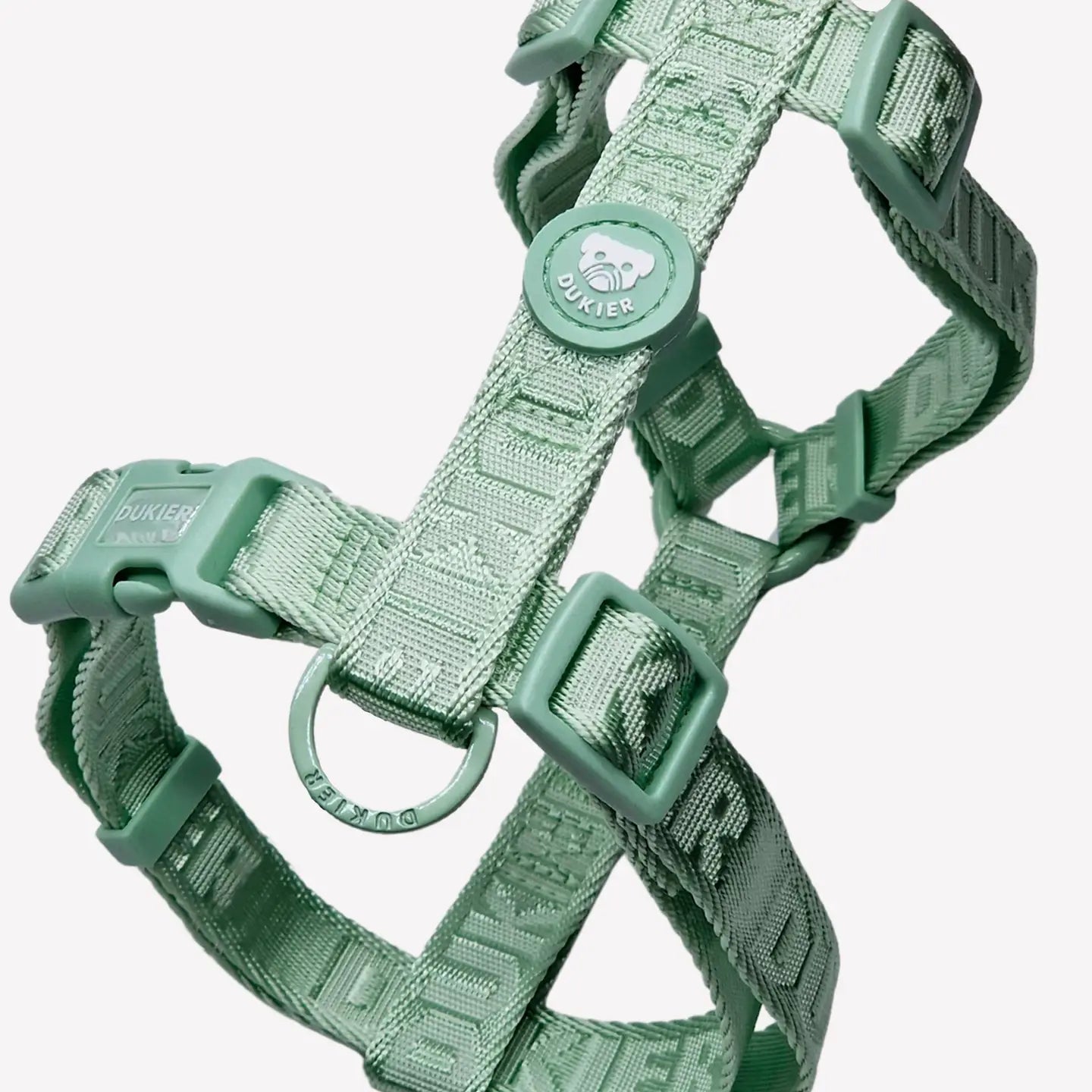 HARNAIS CLASSIQUE - Vert d'eau