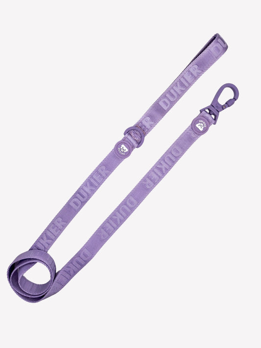 LAISSE POUR CHIEN - Violet