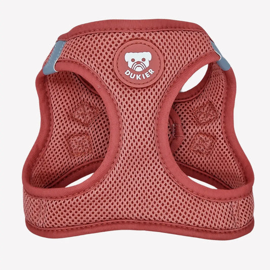 HARNAIS BODY - Terracotta