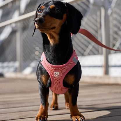 HARNAIS BODY - Terracotta