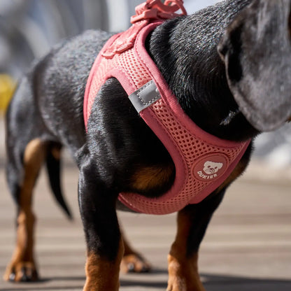 HARNAIS BODY - Terracotta